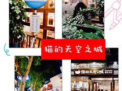 -猫的天空之城概念书店(杭州南宋御街店)