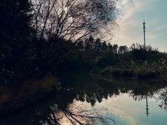 -同里国家湿地公园