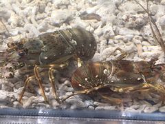 -盒马鲜生(曜一城店)