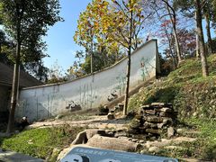 -中国大熊猫保护研究中心雅安碧峰峡基地
