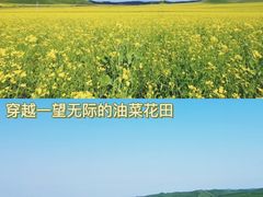 -呼伦贝尔大草原
