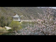 -桃花岛风景旅游区