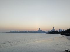 -深圳湾公园(南山区)