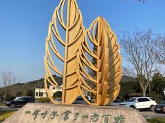 -白茶原·一片叶子