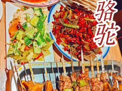 -福苗小骆驼烧烤(莲湖路店)