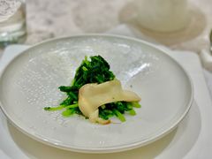 松茸高山豆苗-新光酒家·河豚·海鲜·蟹料理(浦东店)