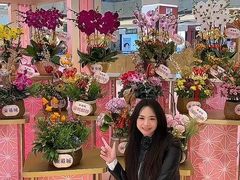-香港东港城