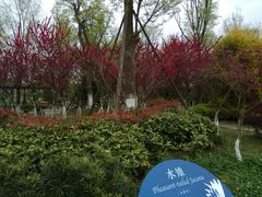 -白鹭湾湿地公园