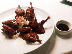 乳鸽-三号黄浦会Canton Table