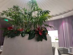 -LANN I 蘭 SPA(陆家嘴中心店)