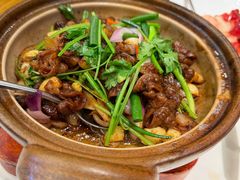 -懂羊帝·羊蝎子·北京菜(小关店)