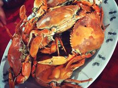 -板桥海鲜广场11排2号