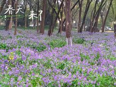 -浙江大学(紫金港校区)