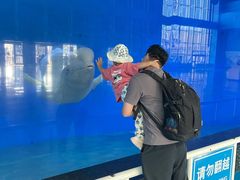 -泉城欧乐堡海洋极地世界