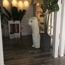 -V Beautique妆颜美学体验馆
