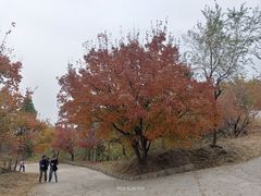 -国家植物园南园