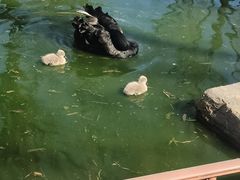 -济南野生动物世界