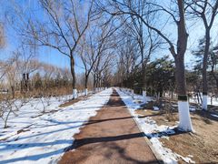 -大兴滨河森林公园