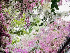 -深圳国际园林花卉博览园