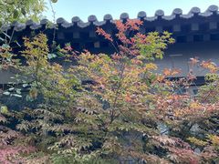 -老北京风情街
