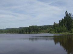 -五营红松林海景区