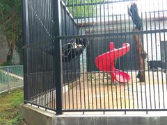 -广东茂名森林公园