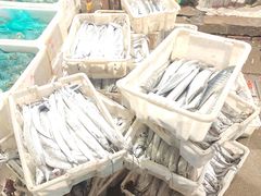 -王四营海鲜市场