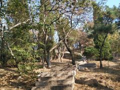 -贮水山儿童公园