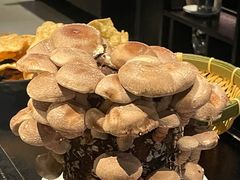 -捞王锅物料理(温州万象城店)