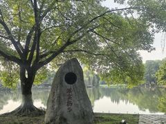 -西南交通大学(九里校区)