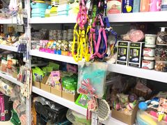 -中农大我爱我爱24h动物医院·中医针灸·猫专科·骨科医疗中心(双井店)