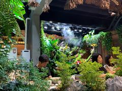 -森味薪火烧•烧鸟居酒屋•日本料理(望京店)