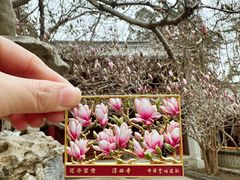 -潭柘寺景区
