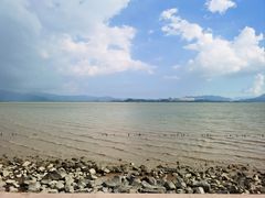 -深圳湾公园(南山区)