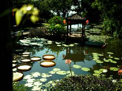 -广州莲花山旅游区