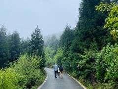 -武陵山森林公园