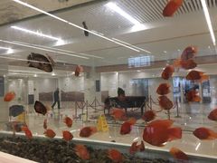 -泰州市人民医院(总院区)