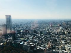 -东京都厅舍