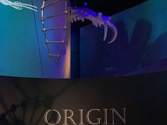 -贝林大翅鲸简餐厅(国家海洋博物馆店)