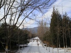 -阳台山自然风景区
