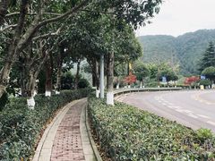 -铁山坪森林公园