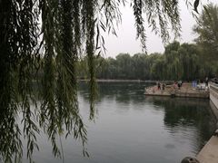 -百脉泉景区