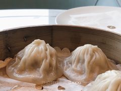 -唐阁海景中餐厅·早茶·粤菜•生日聚餐(海口朗廷酒店)