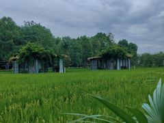 -洪湖家庭农场·团建·露营·会议