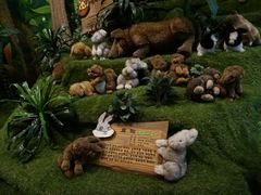 -济州岛泰迪熊博物馆