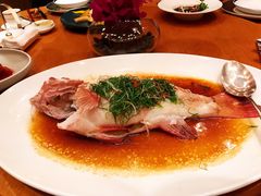 -广州富力君悦大酒店空中花园