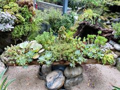 -凤来栖·净庭院·火锅(欧尚店)