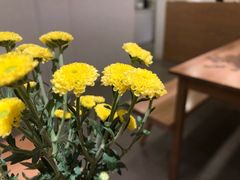 -团子君寿司·茶
