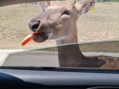 -南京金牛湖风景区