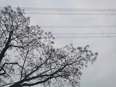 -壹华里·市集